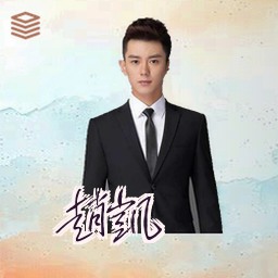 赵凯